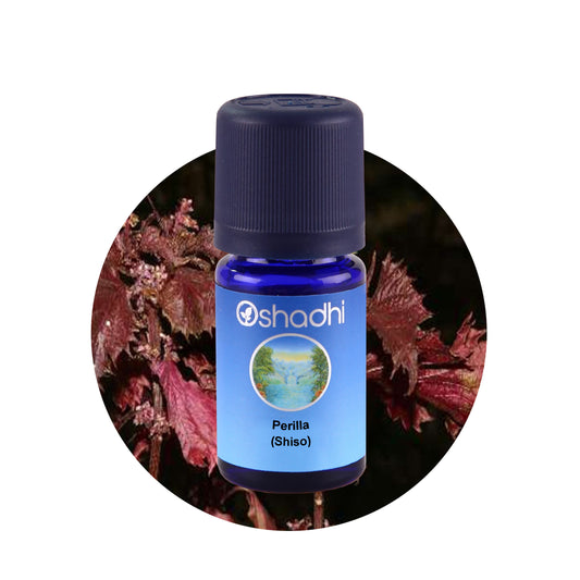 Perillaöl (Shiso)