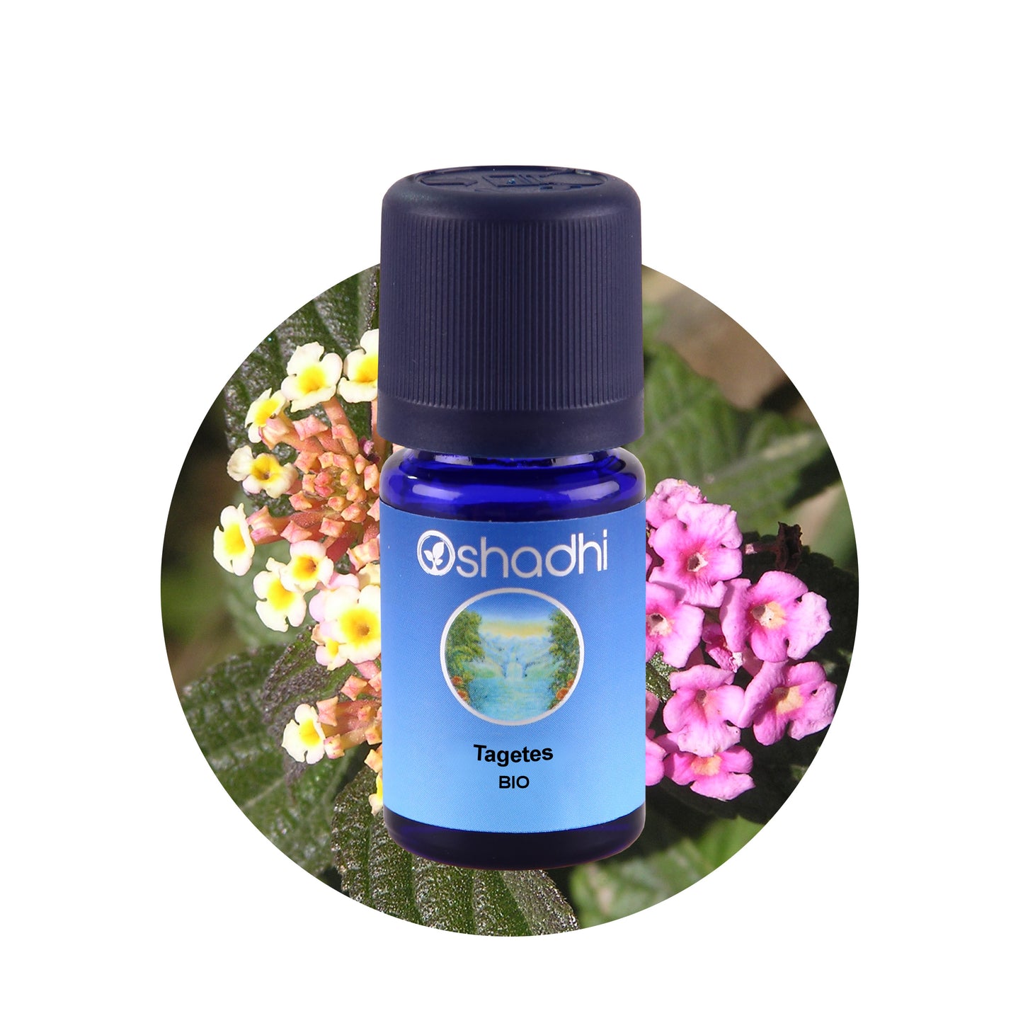 Tagetesöl bio