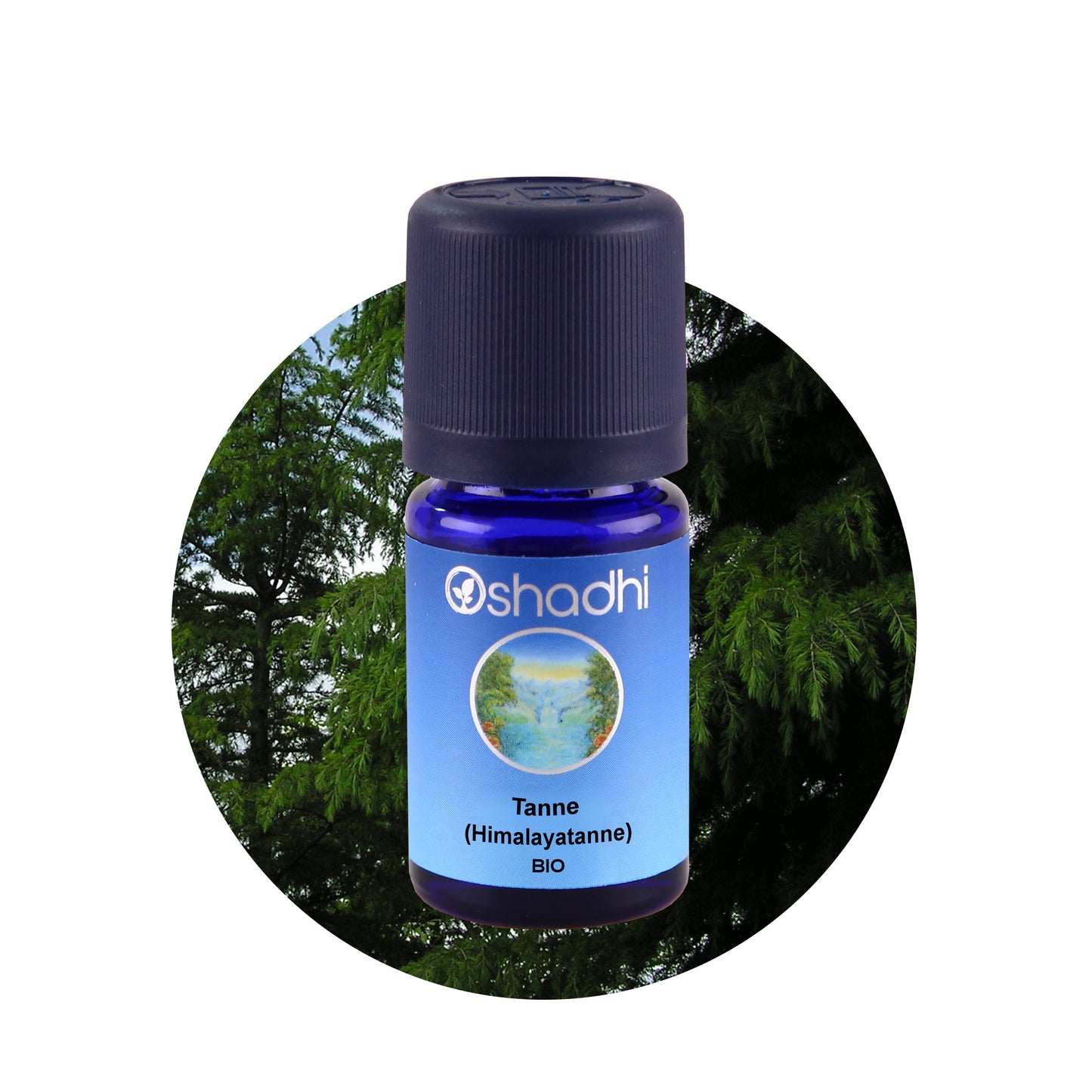 Tannenöl (Himalayatanne) bio