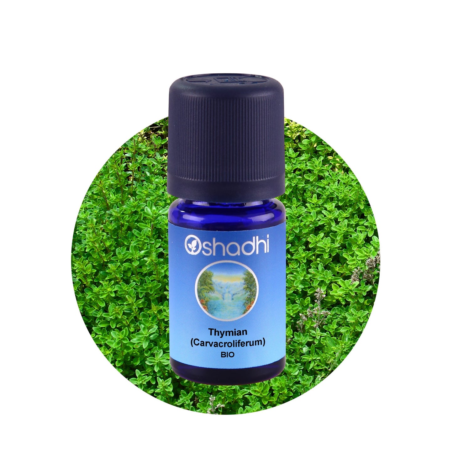 Thymianöl (Carvacroliferum) EU-bio