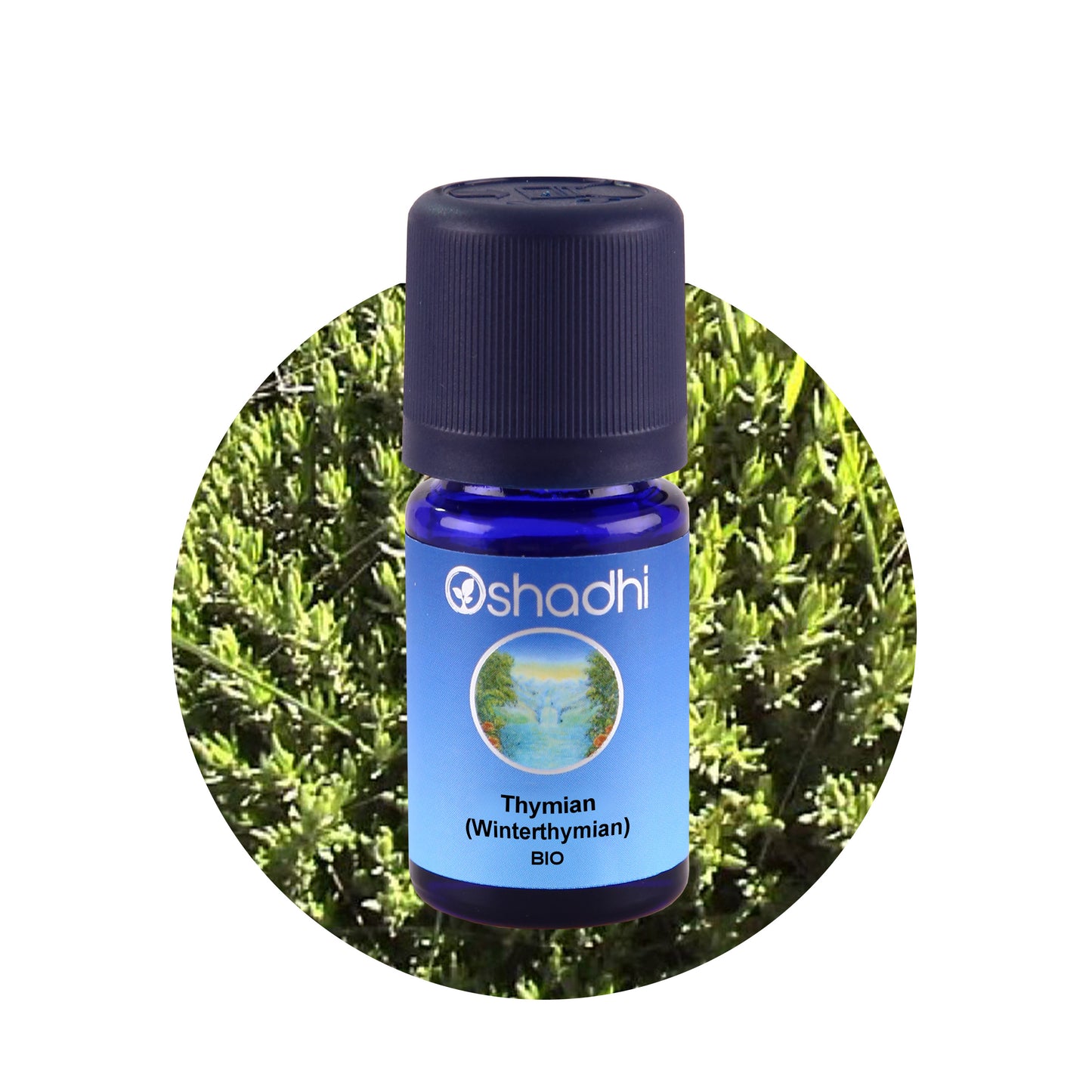 Thymianöl (Winterthymian) EU-bio