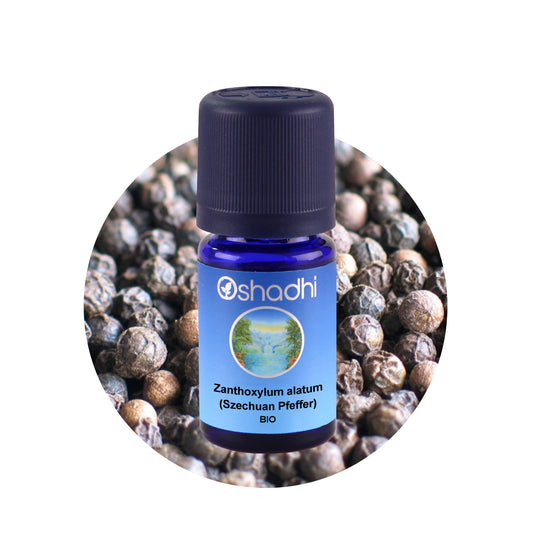 Szechuan Pfefferöl bio (Zanthoxylum alatum)