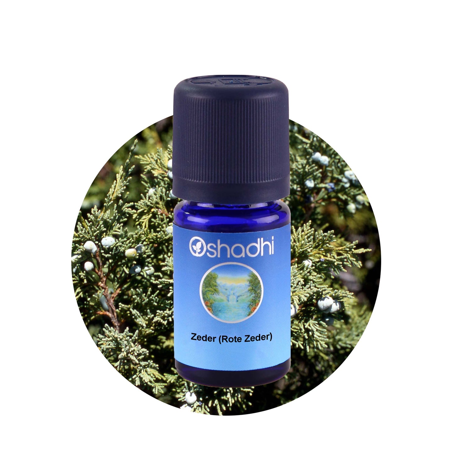 Rotes Zedernöl