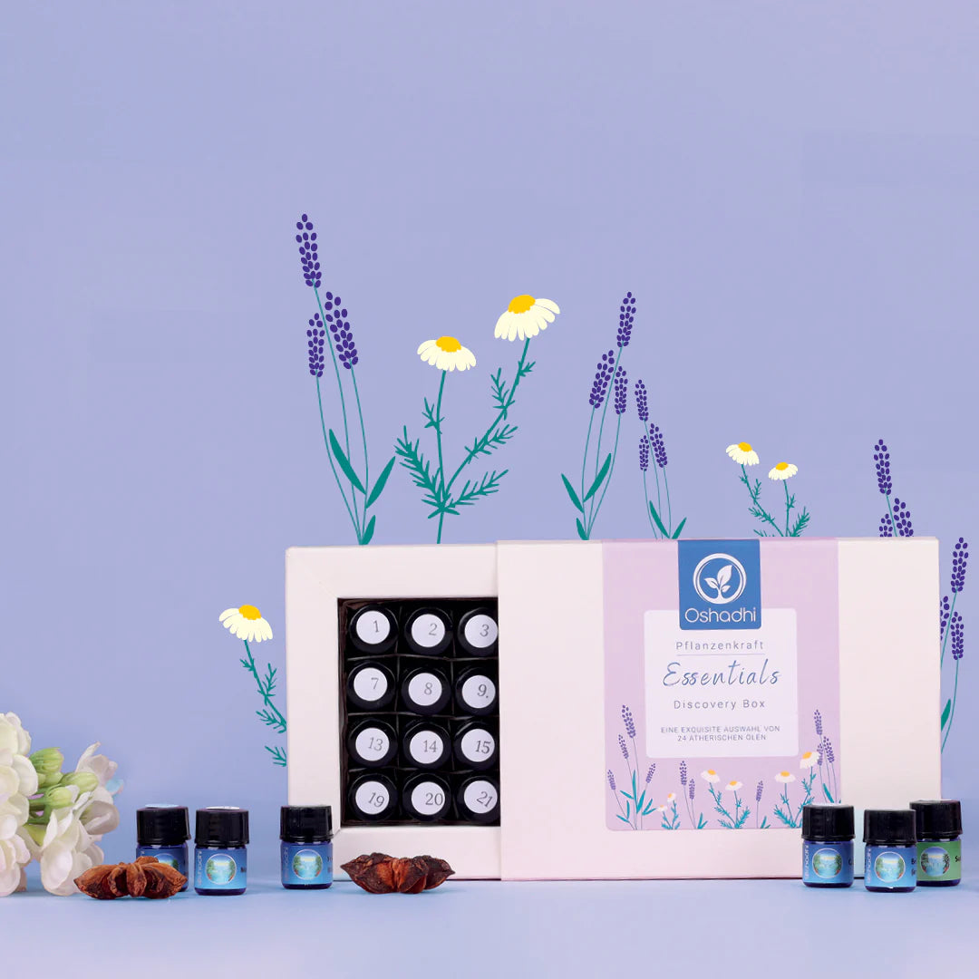 Essentials Discovery Box Mini