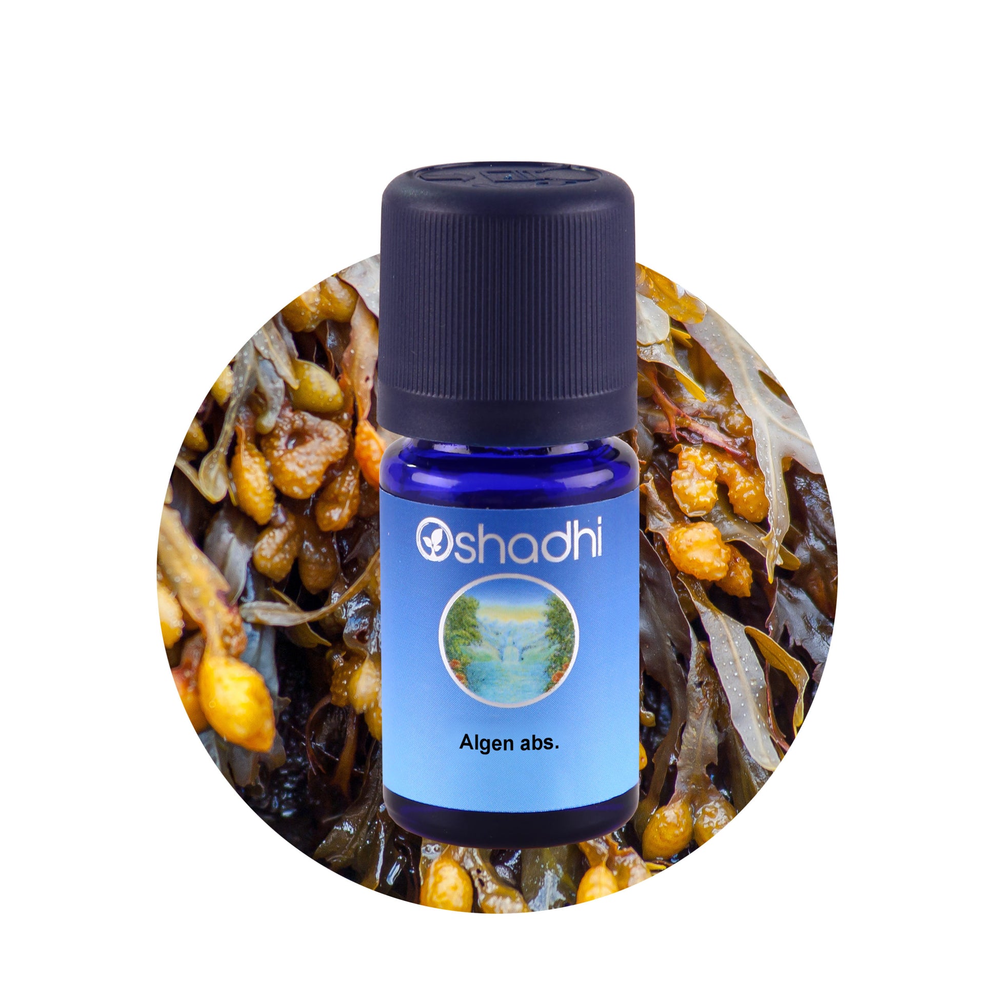 Ätherisches Öl - Algen abs.