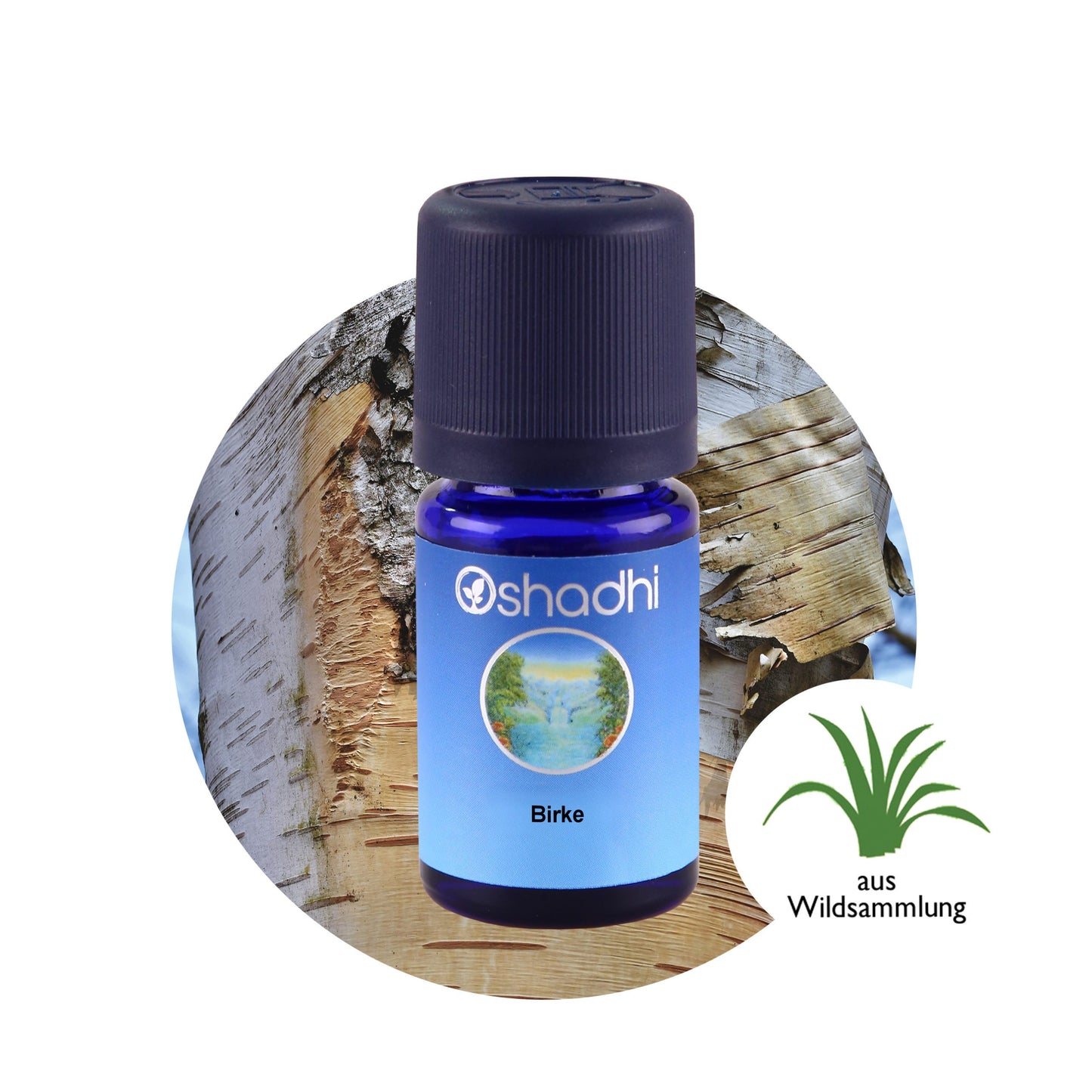 Ätherisches Öl - Birke