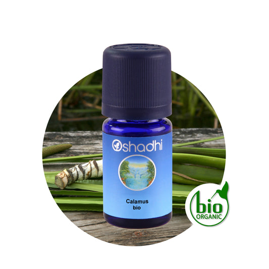 Calamusöl bio