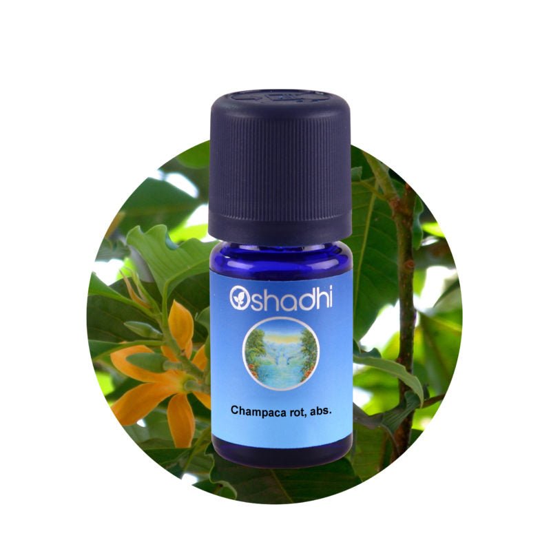 Champacaöl rot, absolute