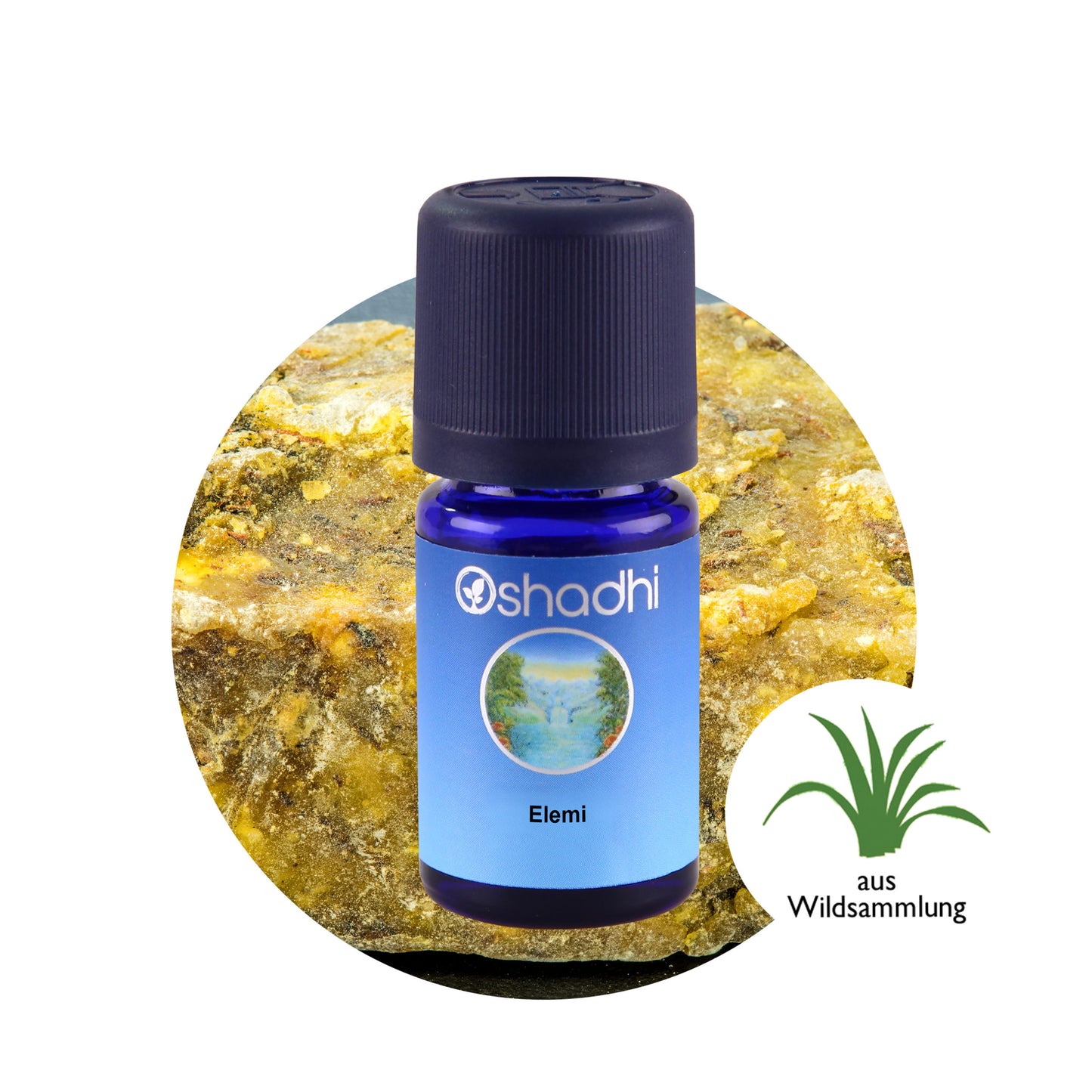 Ätherisches Öl - Elemi