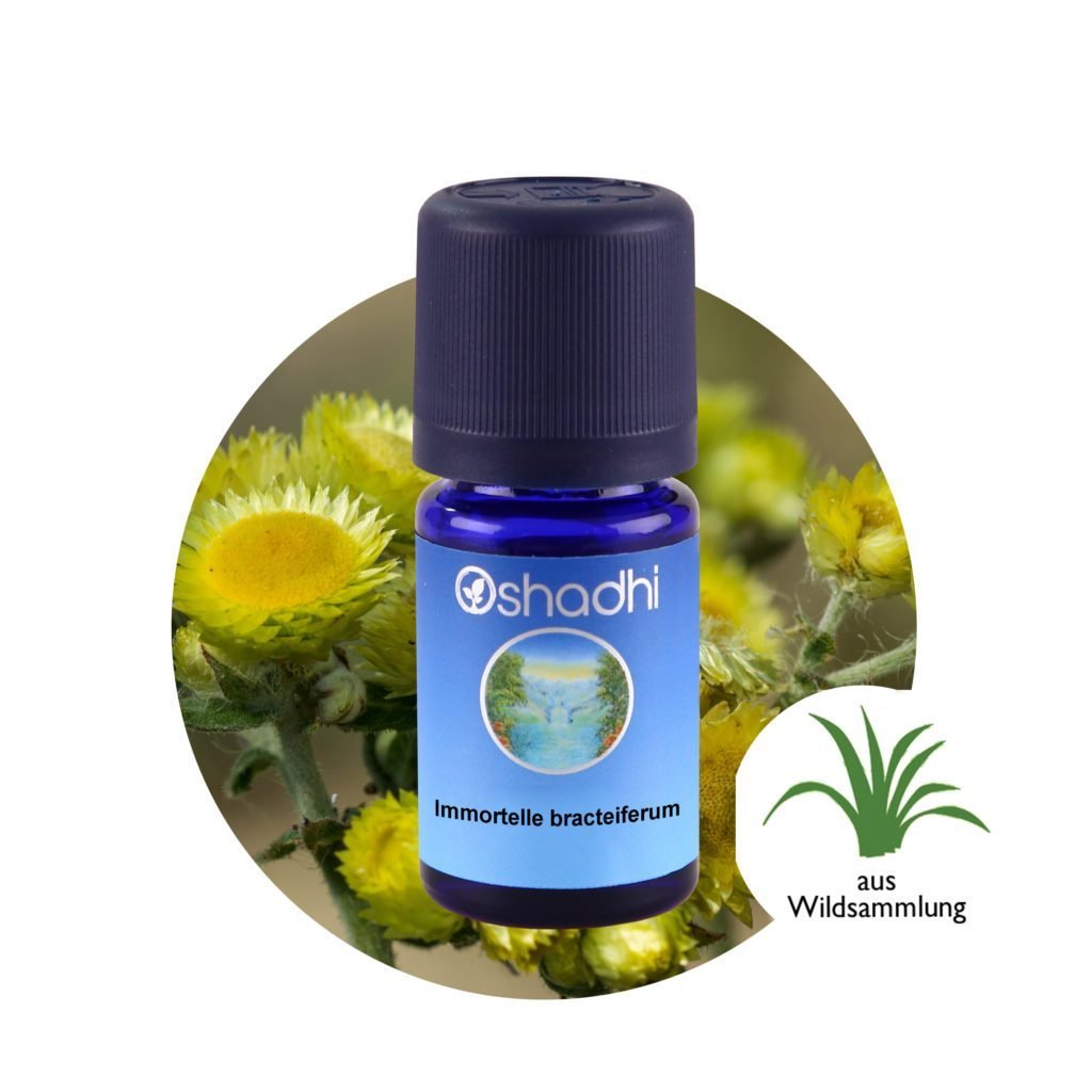 Immortellenöl bracteiferum