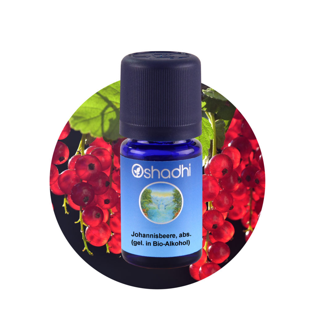 Johannisbeerenöl absolute 70% (gel. in Bio-Alkohol)