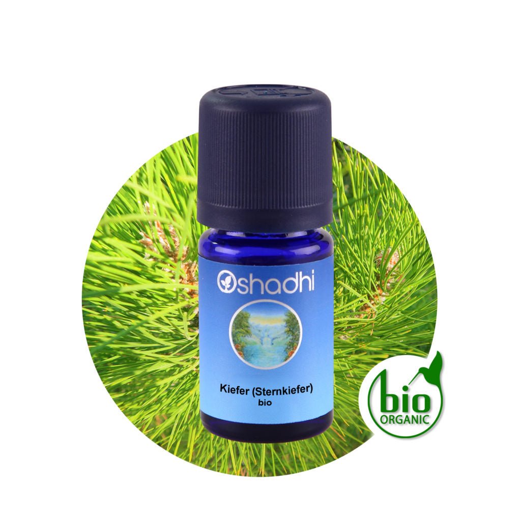 Kiefernöl (Sternkiefer)