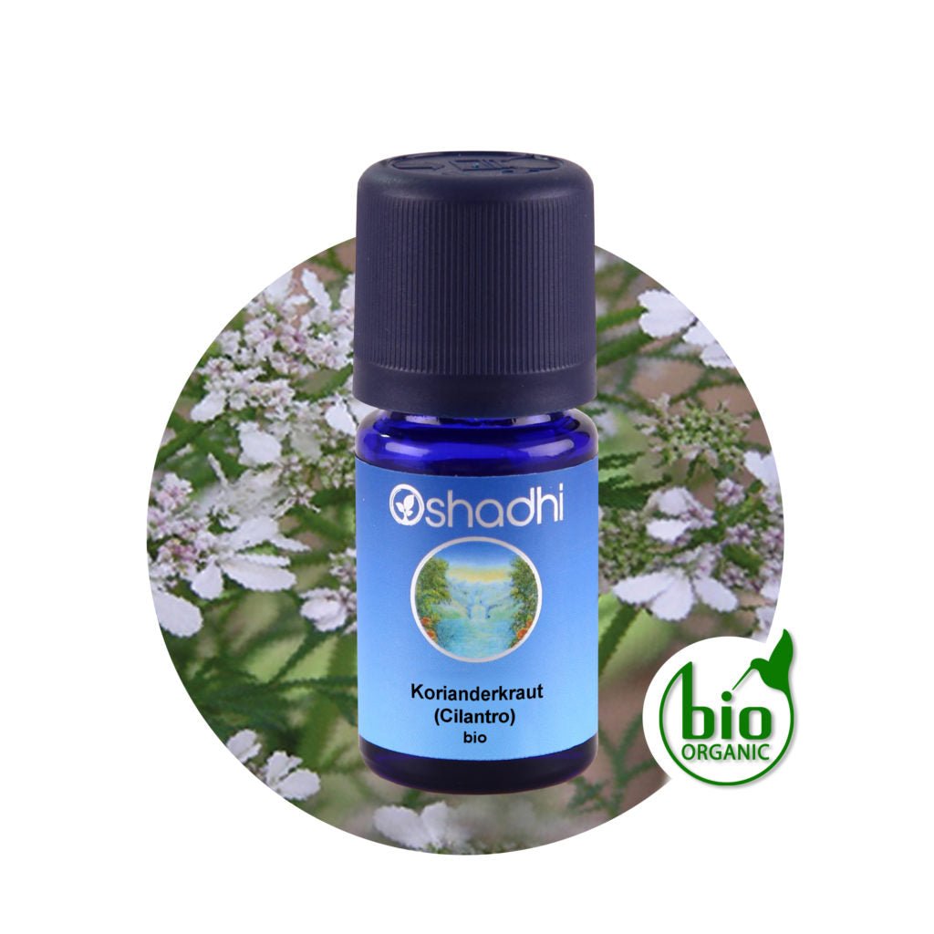 Korianderkraut EU-bio (Cilantro)