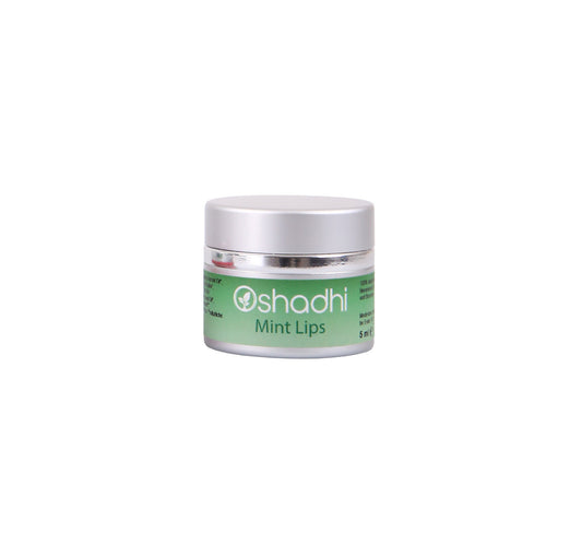 Lippen-Balsam Minze Bio