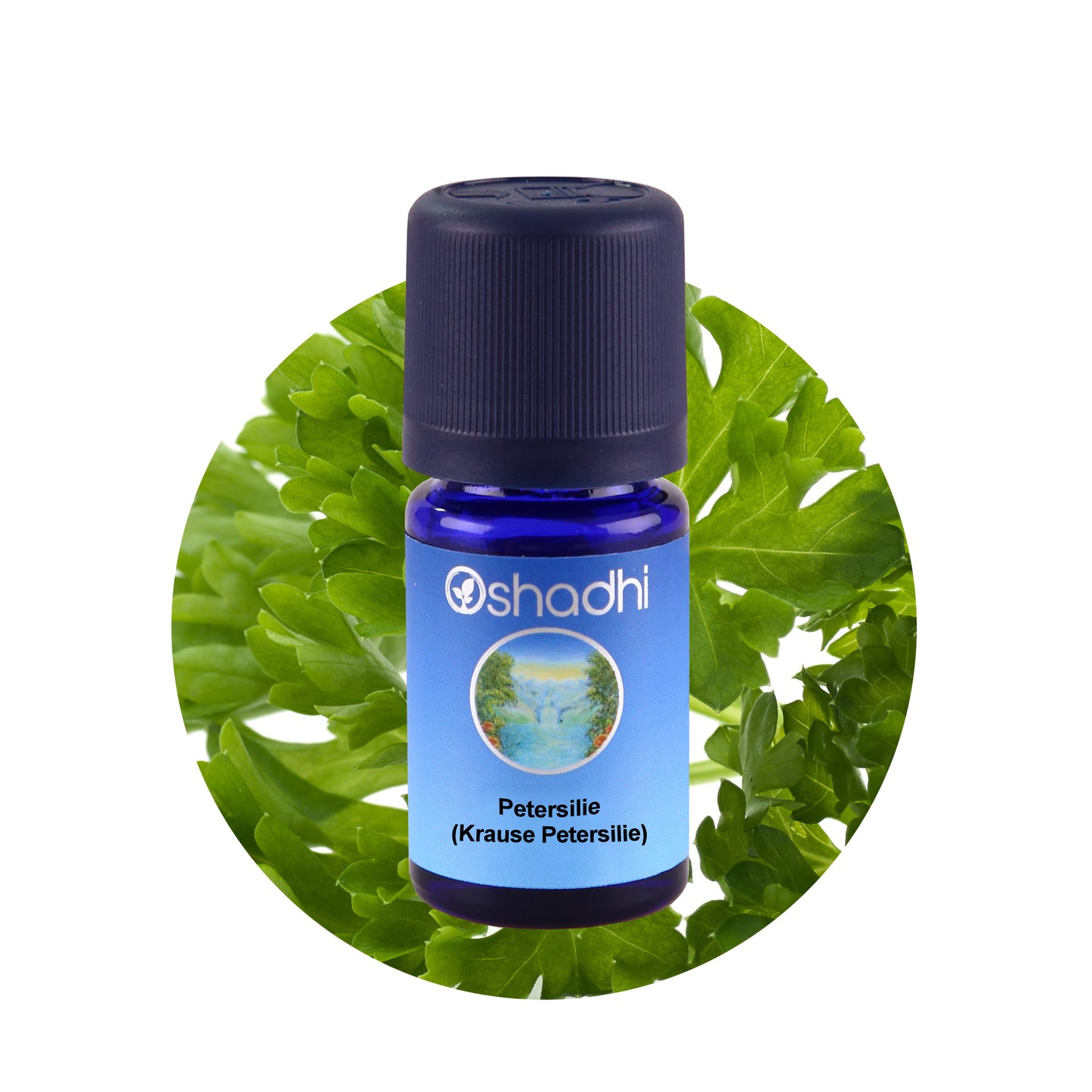 Petersilienöl (Krause Petersilie)