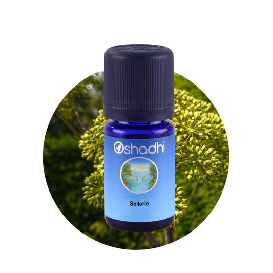 Sellerieöl