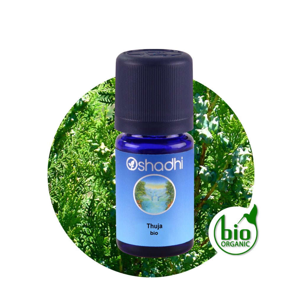 Thujaöl bio
