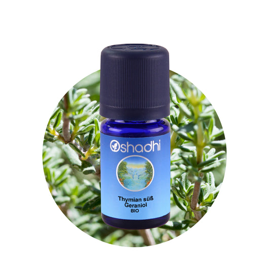 Thymian süß (Geraniol) EU-bio