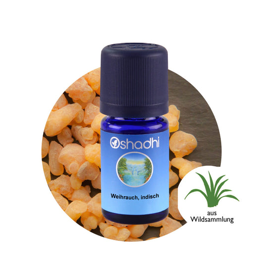 Weihrauchöl serrata indisch