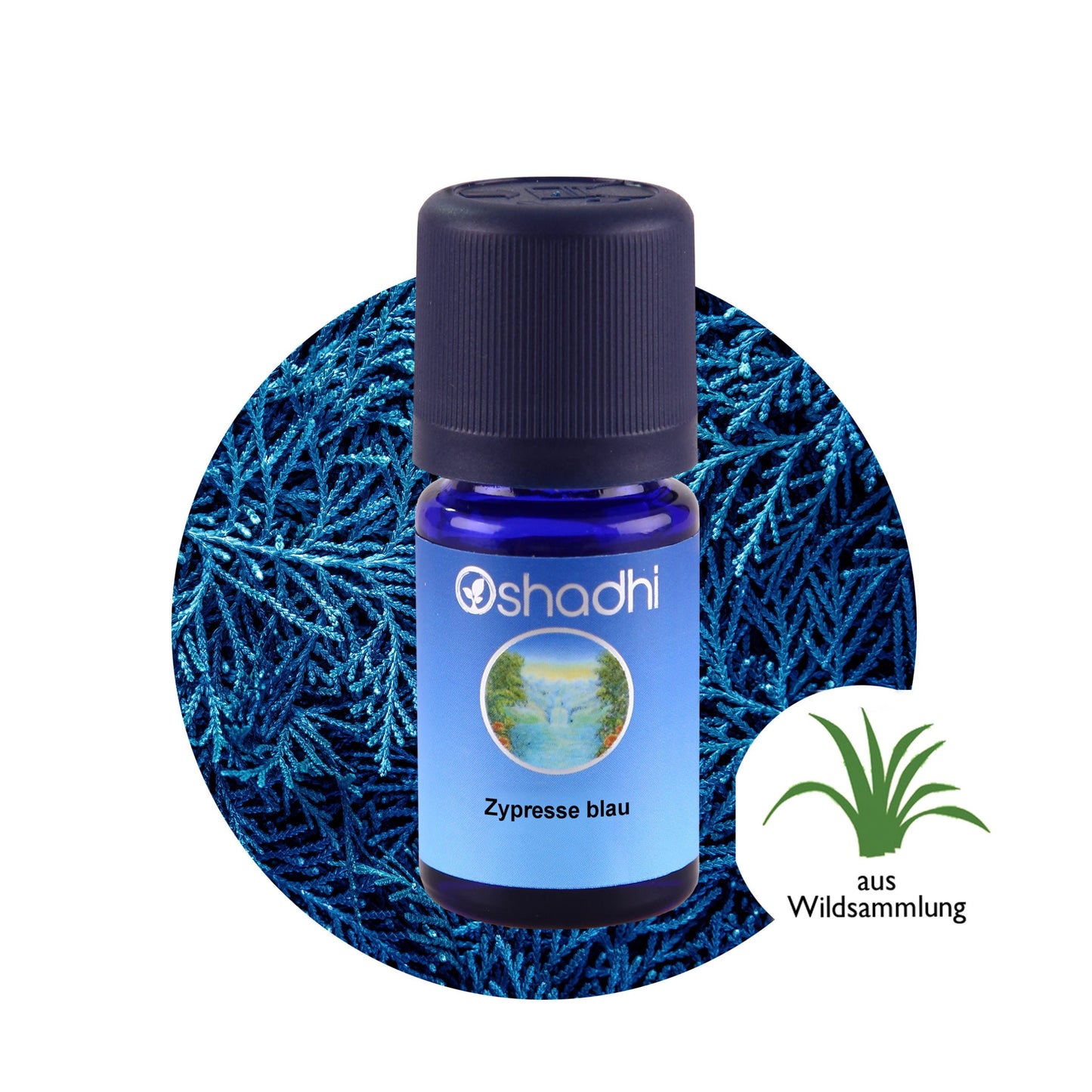 Zypressenöl blau
