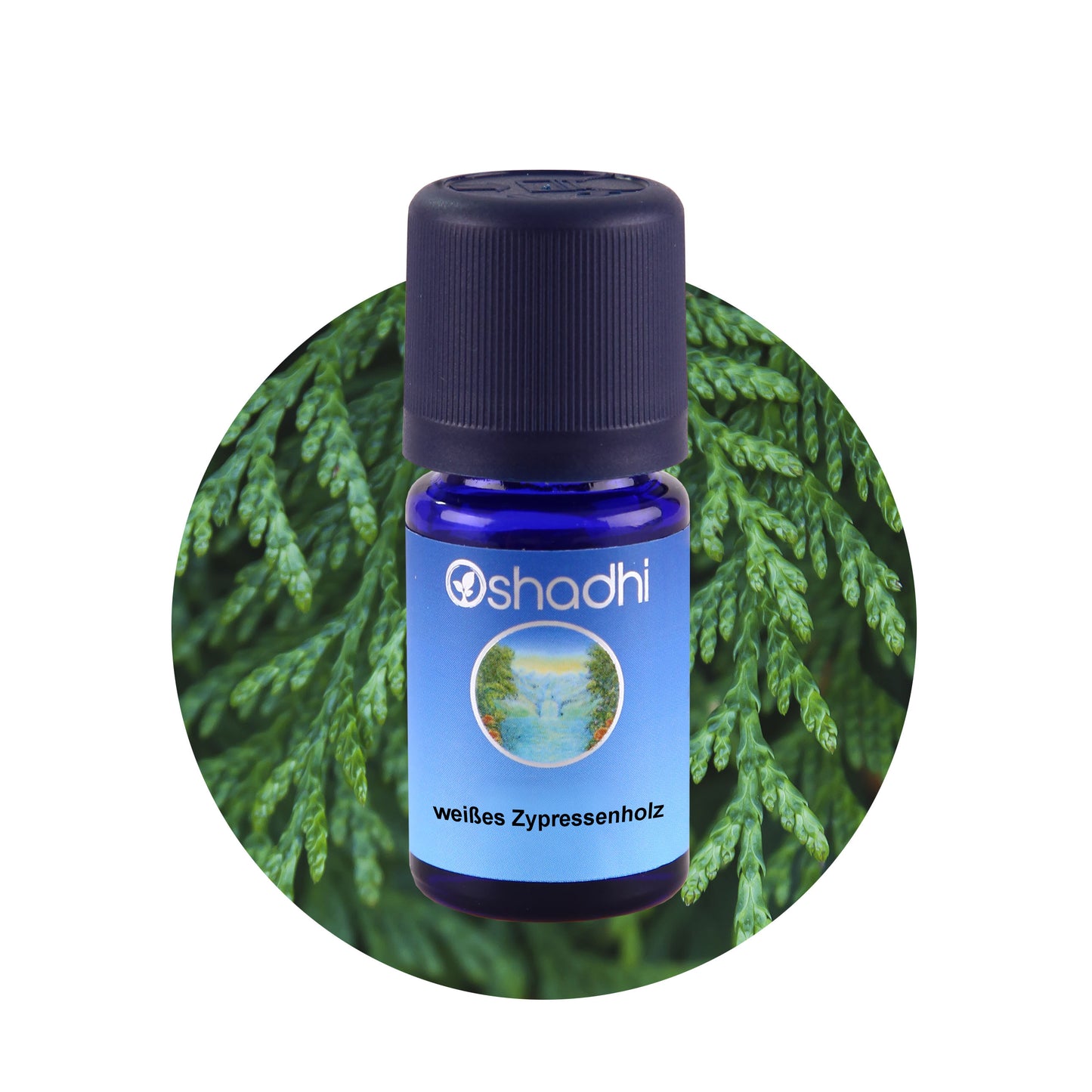 Weißes Zypressenholz Öl