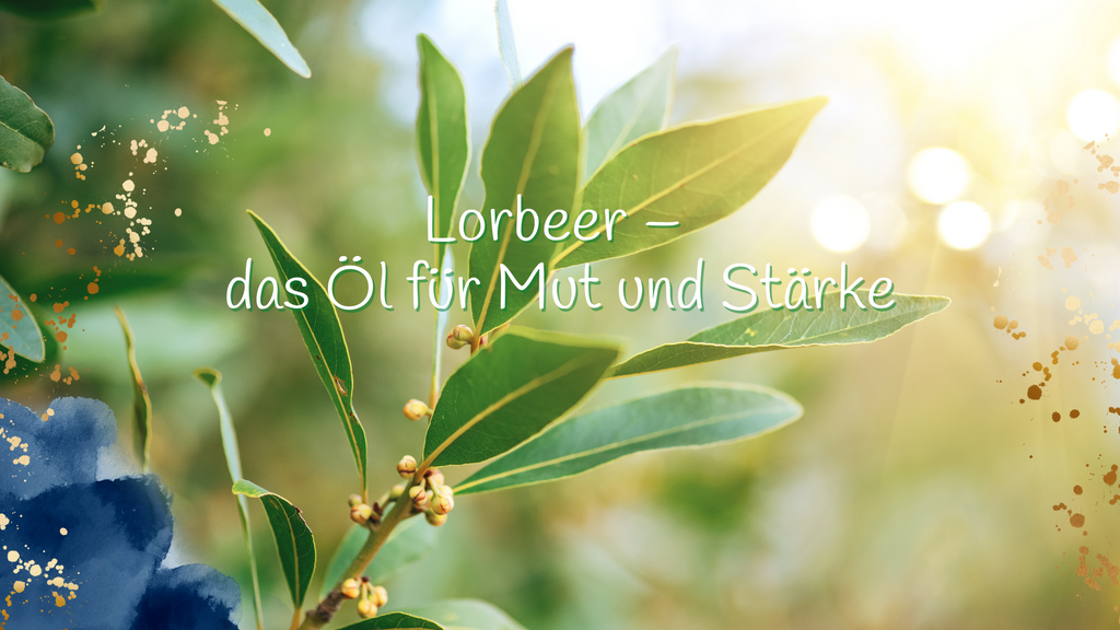 Lorbeer – das Öl für Mut und Stärke