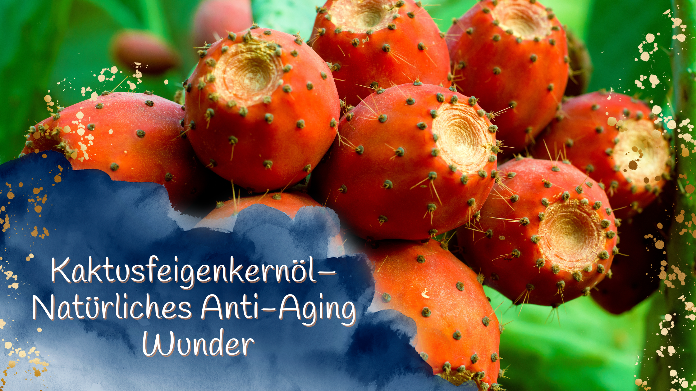 Kaktusfeigenkernoel-Anti-Aging