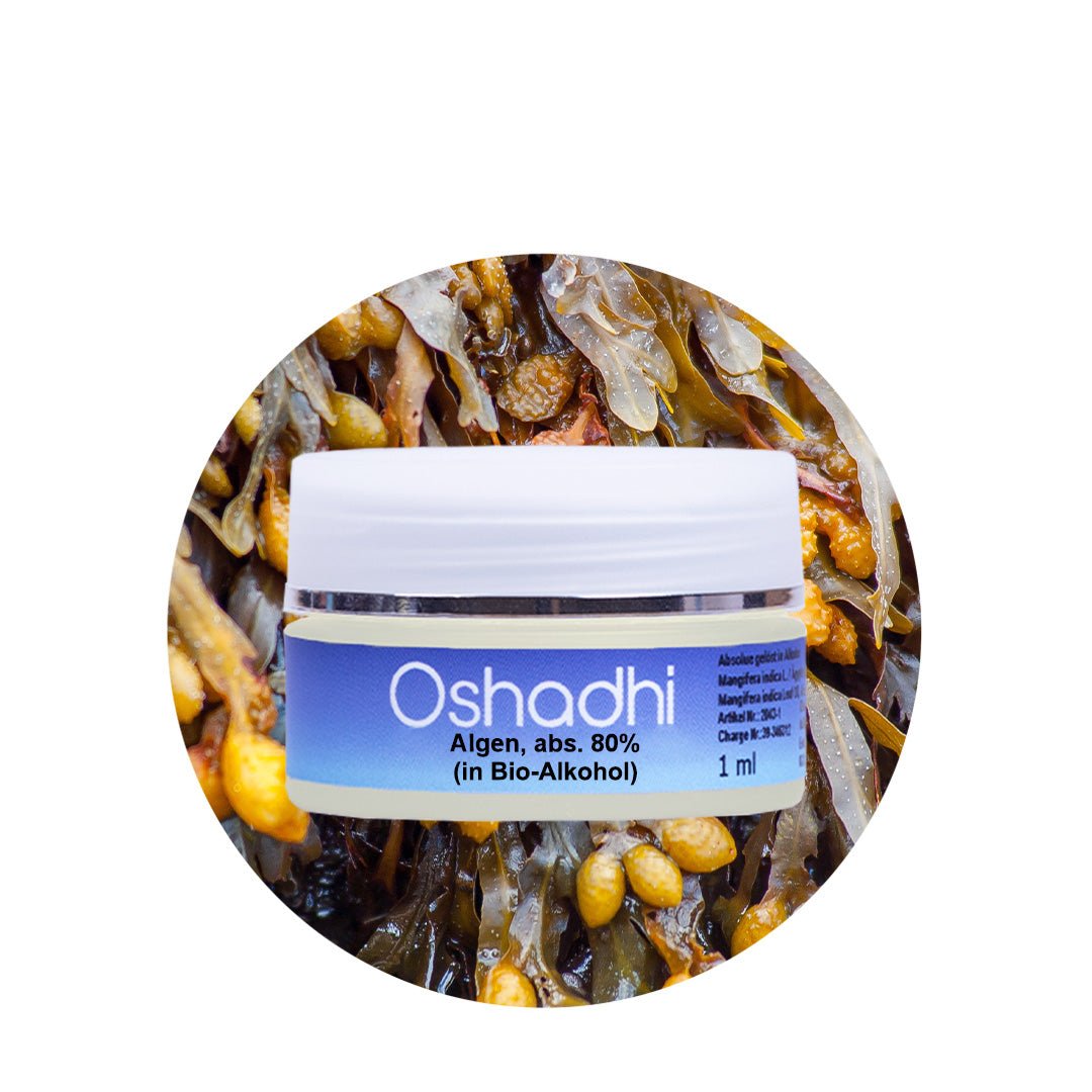 Algenöl absolue 80% (in Bio-Alkohol)