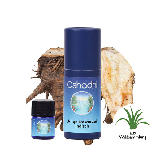 Angelikawurzel-Öl indisch
