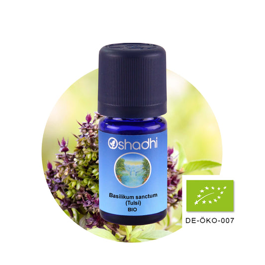 Basilikumöl, Tulsi (sanctum) bio