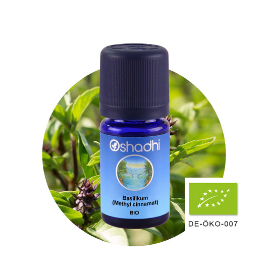 Basilikumöl EU-bio (Methyl cinnamat)