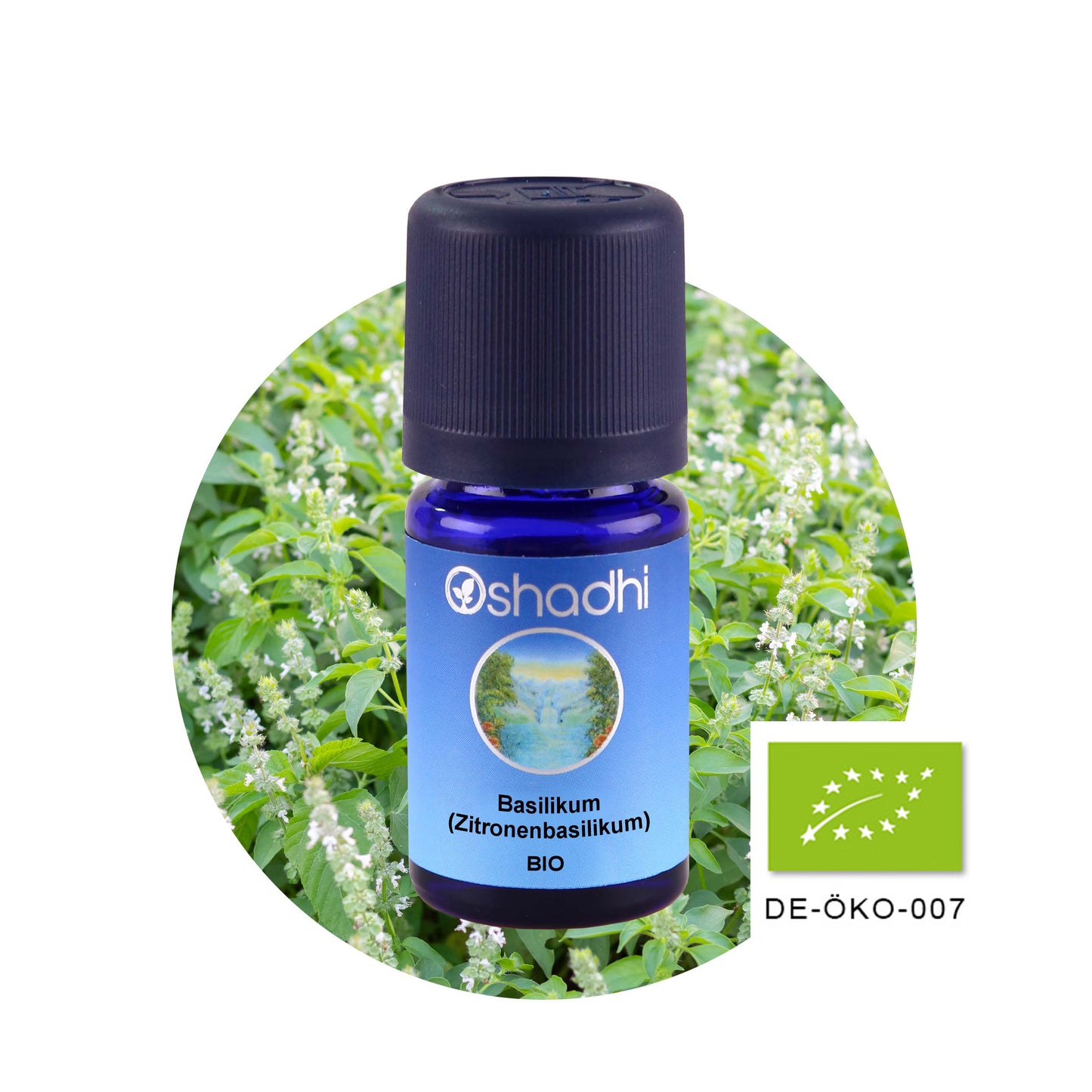 Basilikumöl (Zitronenbasilikum) EU-bio