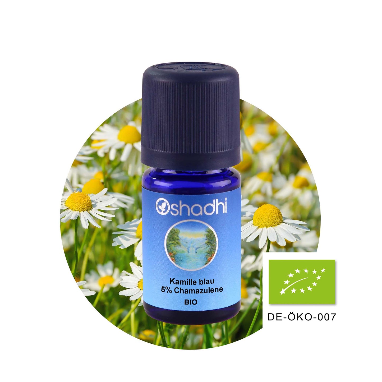 Kamilleöl blau EU-bio 5% Chamazulene