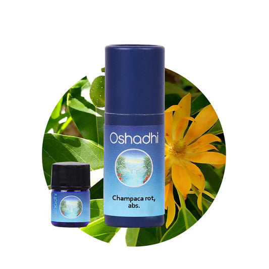 Champacaöl rot, absolute