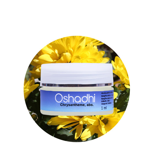 Chrysantheme-Öl absolute