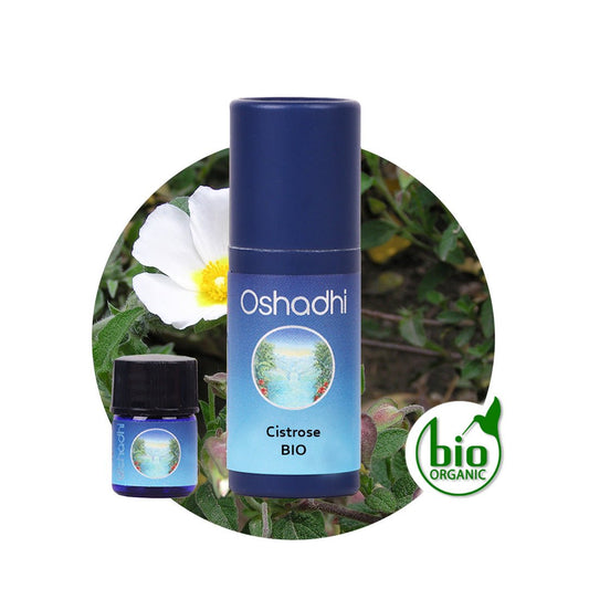 Cistrosenöl bio