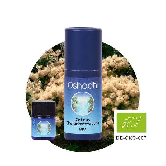 Cotinus-Öl (Perückenstrauch) EU-bio