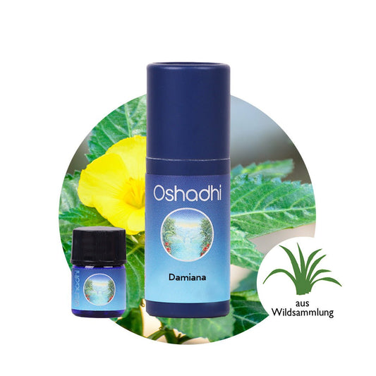 Damiana-Öl wild