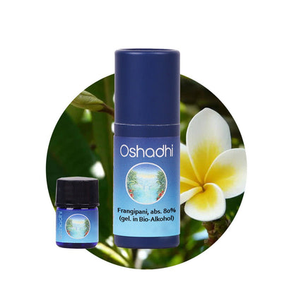 Frangipani Öl absolute 80% (gel. in Bio-Alkohol)