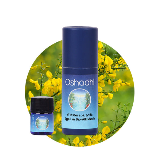 Ginsteröl absolute 90% (gel. in Bio-Alkohol)