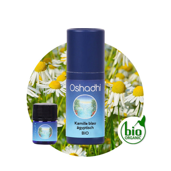 Kamillenöl blau bio, ägyptisch