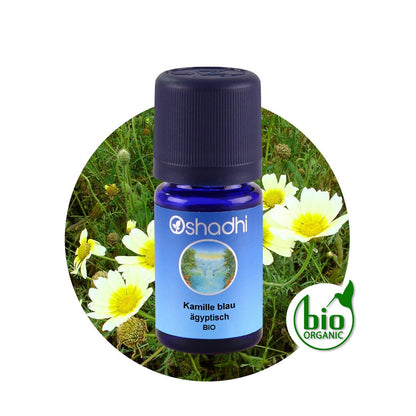 Kamillenöl blau bio, ägyptisch