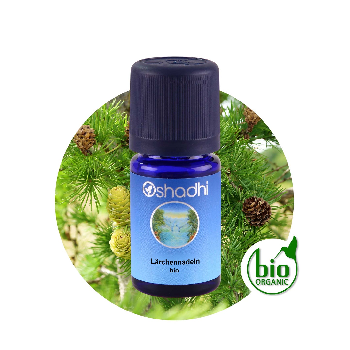 Lärchennadeln bio