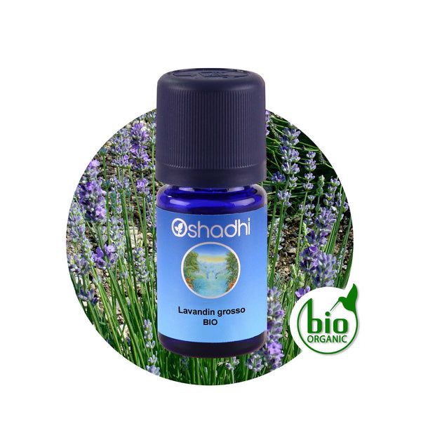 Lavandinöl grosso EU-Bio