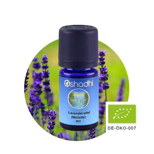 Lavendel edel, Maillette bio – Ätherisches Öl