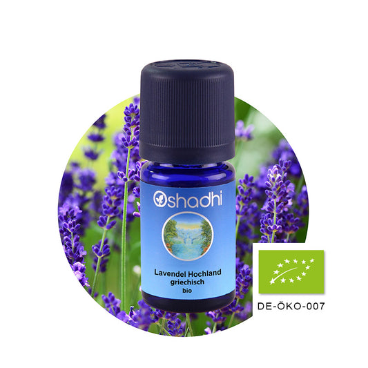 Lavendel Hochland, griechisch bio (Lavendelöl) – Ätherisches Öl