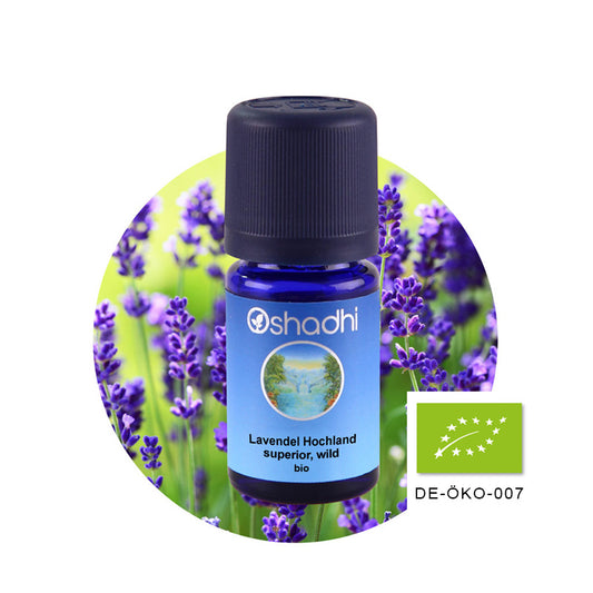 Lavendel Hochland superior, wild bio (Lavendel extra) – Ätherisches Öl