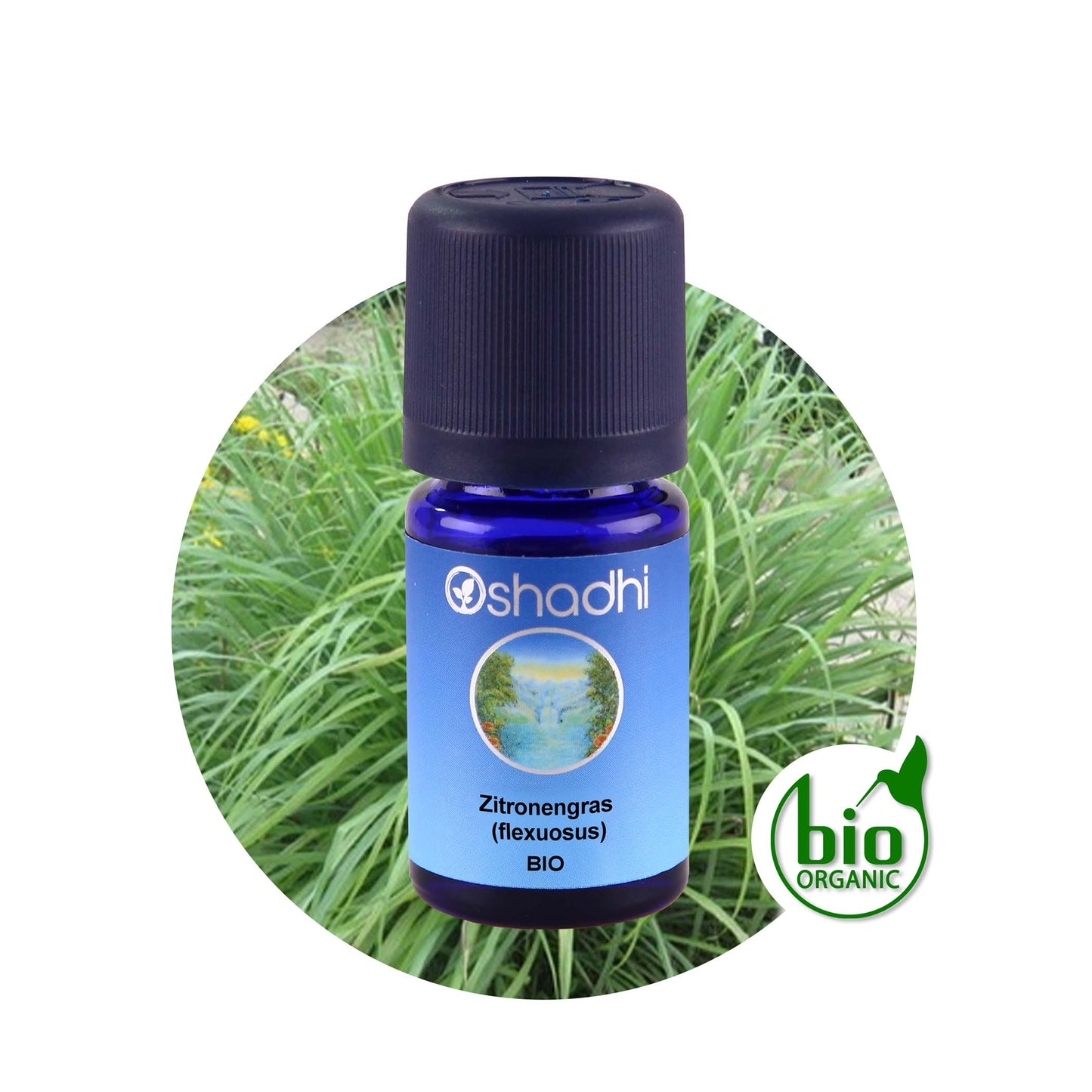 Zitronengras (flexuosus) bio