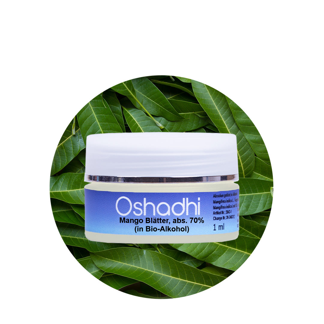 Mango Blätter Öl absolute 70% (in Bioalkohol)