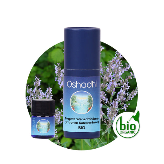 Zitronen-Katzenminz-Öl bio